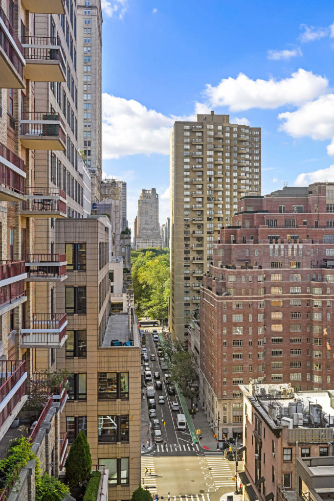 530 Park Avenue, 17F - View